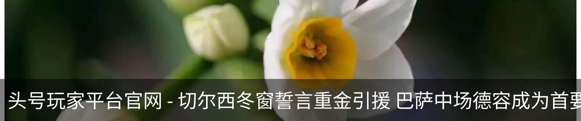 资讯动态